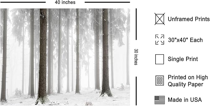 Monem Art Foggy Winter Forest Photography Print - Minimalist Snowy Landscape Poster - Wall Decor for Living Room, Bedroom or Office - 30x40 Unframed Wall Art by Mareike Bohmer