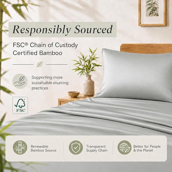 TOSMO Luxury Pillow Case Set of 2 - Cooling Viscose Derived from Bamboo, Oeko-TEX, Breathabl Silky Soft Pillow Cases with Envelope Closure (King / 20x40, Silver)
