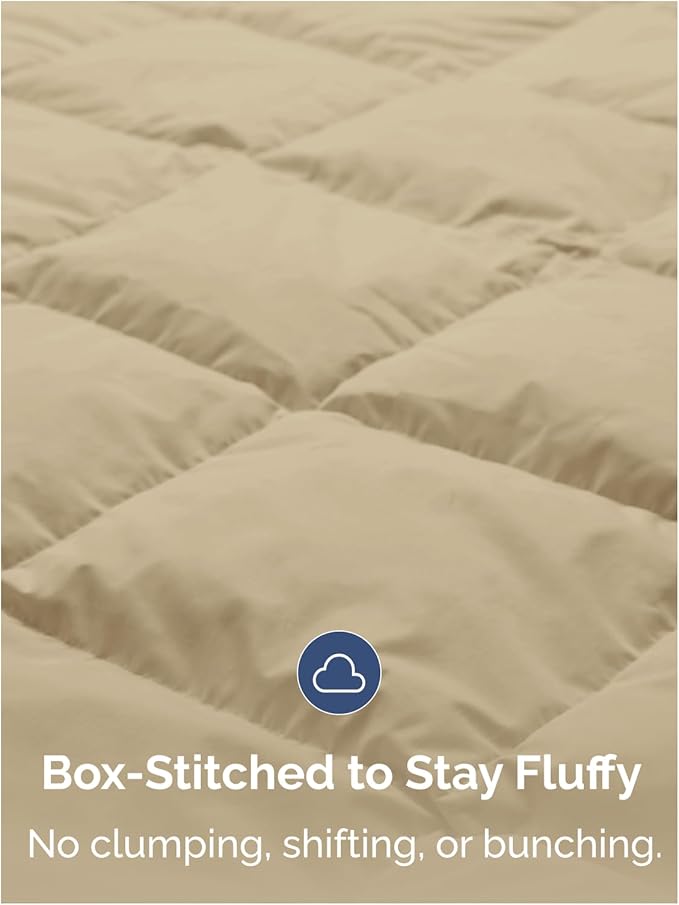 Queen Size, Beige Alternative Down Comforter - Warm, Lightweight & Breathable Hotel Quality Bedding Set for Men, Women, Kids & Teens - All Season Oversized Cooling Microfiber Duvet Insert Comforter