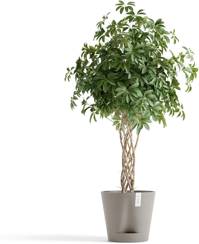 Ecopots Venice 2 Durable Modern Round Indoor/Outdoor Recycled-Based Composite Flower Pot Planter w/Water Reservoir, Taupe, 16"