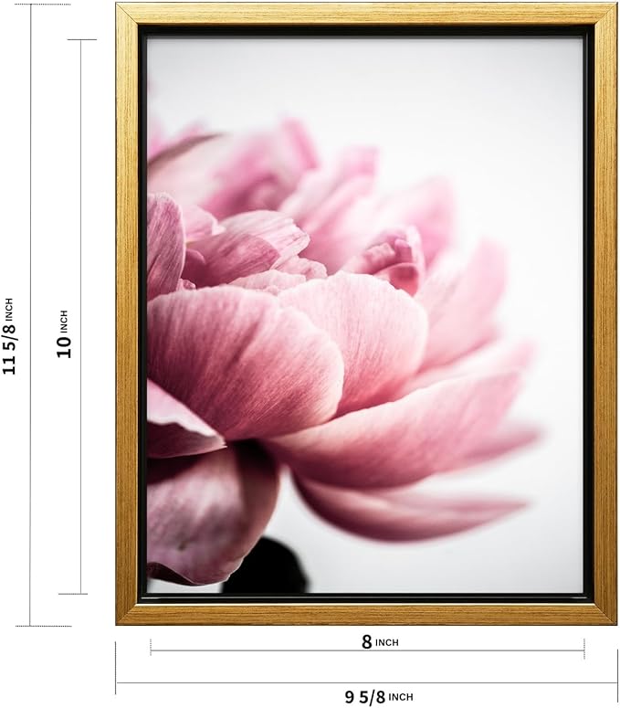 Monem Art Pink Peony Macro Photography Print - Minimalist Floral Art Poster - Wall Decor for Living Room, Bedroom or Office - 8x10 Gold Framed CANVAS Wall Art by Mareike Bohmer