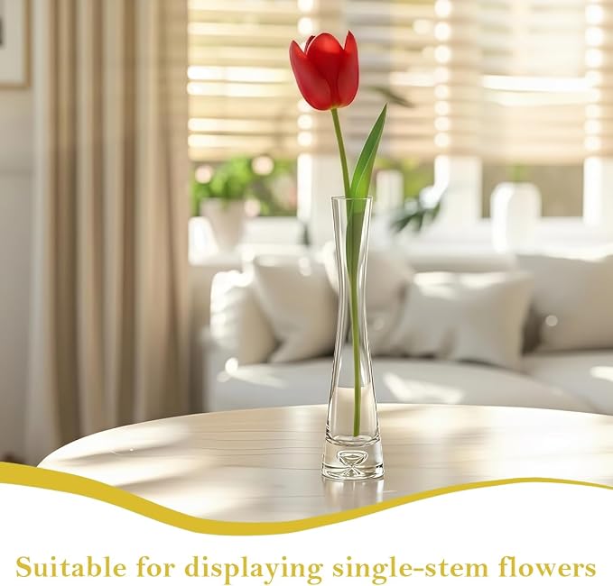 Clear Glass Small Bud Vase 8 Inches 1 Pack Narrow Necked Single Stem Vase Minimalist Modern for Home Office Table Decoration
