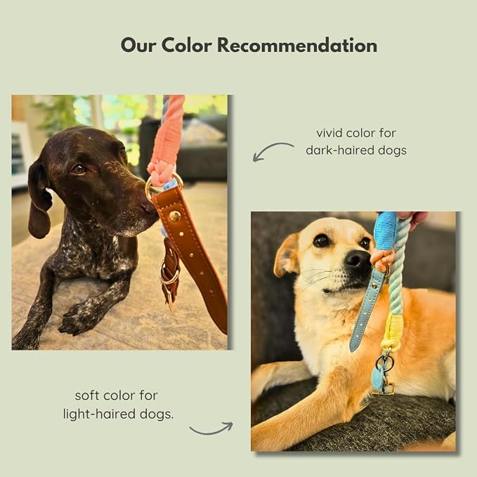 Pawtopia Cotton Rope Collar for Large Dogs, Vegan Leather Handle (Light Blue) with One Complimentary Roll of Dog Poop Bags (15 Bags), Durable Metal Buckle (Soft Rainbow, Large), Give Back