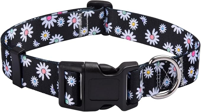 MarukoPet Dog Collar, Adjustable for Small Medium Large Dogs Puppy, Cute Design with Bohemia Floral Tribal Geometric Patterns Boys Girls Dog Collar(Black Daisy-L)