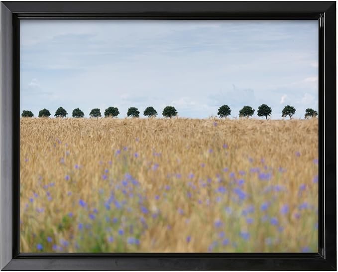 Monem Art Golden Meadow Horizon Landscape Print - Minimalist Nature Photography Poster - Wall Decor for Living Room, Bedroom or Office - 16x20 Black Framed CANVAS Wall Art by Mareike Bohmer