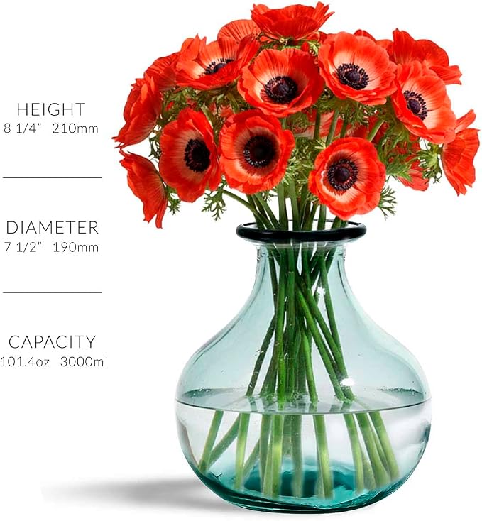 COURONNE CO. Gourde Recycled Glass Vase, 8.25” Clear Glass Vase with Large Capacity for Floral & Home Décor