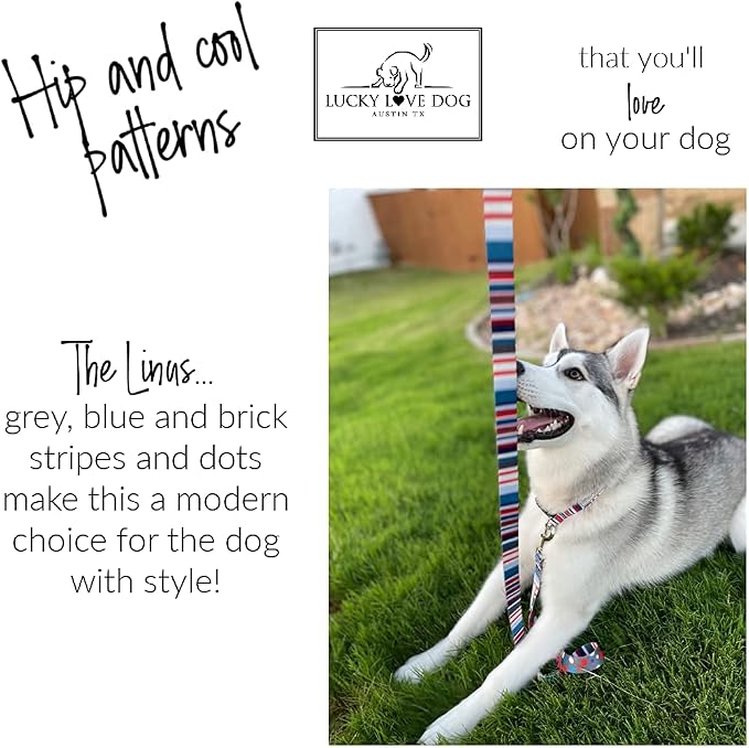 Lucky Love Dog - Adjustable Dog Collar with Easy Click Buckle for Small Dogs, Durable, & Comfortable for Male & Female Dogs, Pet Collar for Puppies & Adult Ones - Linus, Small