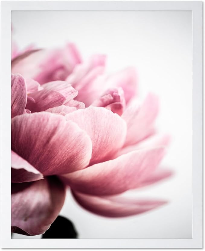 Monem Art Pink Peony Macro Photography Print - Minimalist Floral Art Poster - Wall Decor for Living Room, Bedroom or Office - 12x16 White Framed Wall Art by Mareike Bohmer