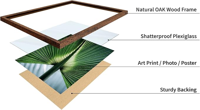 Monem Art Tropical Palm Leaf Macro Photography Print - Minimalist Botanical Nature Art Poster - Wall Decor for Living Room, Bedroom or Office - 16x20 Brown Framed Wall Art by Mareike Bohmer