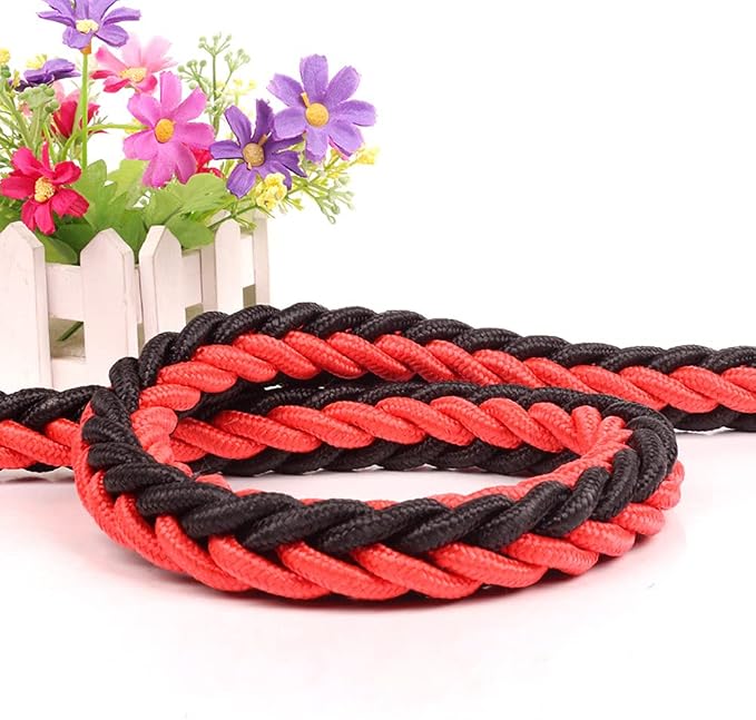 Love Dream Dog Collar and Leash Set, Heavy Duty Nylon Braided Rope Strong 4 FT Dog Leash and Martingale Training Collar for Small Medium Large Dogs Training and Walking (Red & Black)