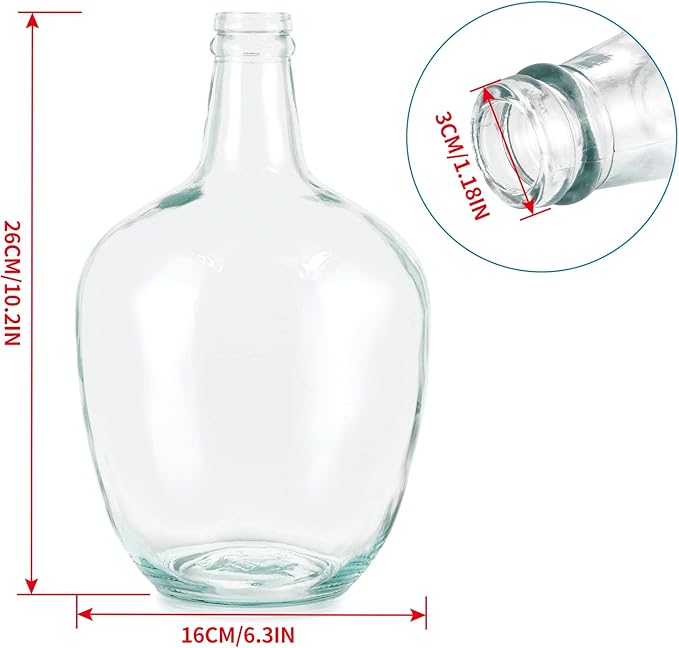 MDLUU Glass Jug Vase 10" Tall, Clear Flower Vase, Decorative Bottle Vase for Dining Room, Bedroom, Bathroom, Mantel