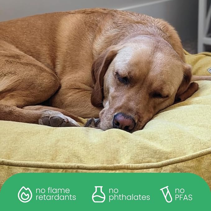 Molly Mutt Elysium Dog Bed Duvet Cover, GOTS-Certified 100% Cotton Canvas Cover for Dog, Puppy, or Cat Bed, Durable, Washable, and Free of Harmful Chemicals, Small, 22"x27"x5", Yellow