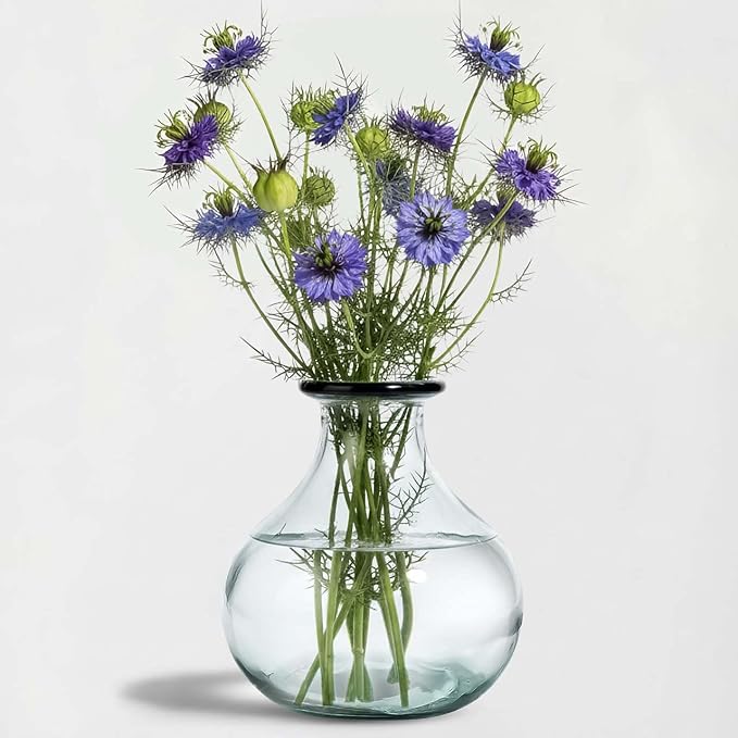 COURONNE CO. Gourde Recycled Glass Vase, 8.25” Clear Glass Vase with Large Capacity for Floral & Home Décor