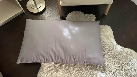 Natural Cotton Canvas Dog Bed – Raw Cotton Filled Pet Cushion Insert, Breathable Eco-Friendly Dog Mattress, Durable Washable Cover with Zipper (Blue Gray, Large 48"x30"x5")