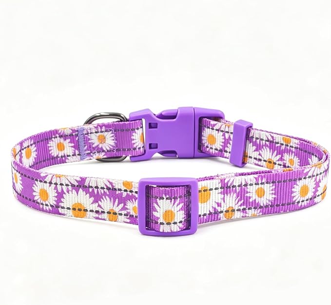 Dog Collar Leash Set, Floral Pattern, with Safety Reflective Strips, 5 ft Matching Leash, Neoprene Padded Handle, Adjustable 4 Sizes for Small Medium Large Dogs.(S, Purple Daisy)