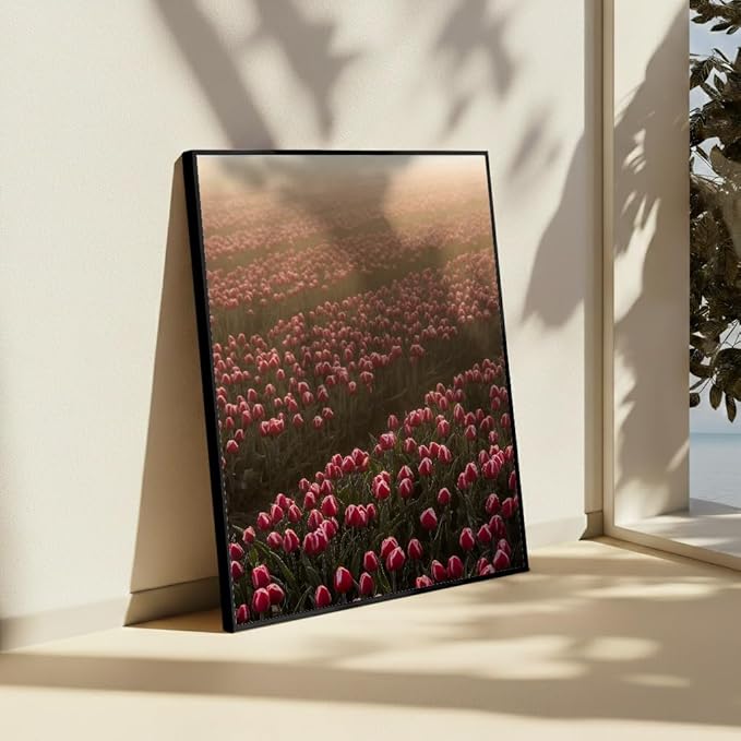 Monem Art Golden Tulip Field Sunset Photography Print - Romantic Spring Landscape Art Poster - Wall Decor for Living Room, Bedroom or Office - 16x20 Black Framed CANVAS Wall Art by Mareike Bohmer