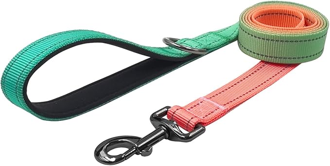 Dog Collar Leash Set, Gradient Color, with Safety Reflective Strips, 5 ft Matching Leash, Neoprene Padded Handle, Adjustable 4 Sizes for Small Medium Large Dogs.(L, Green Orange)