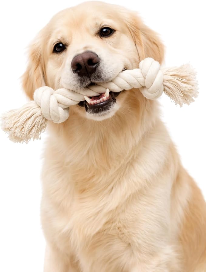 Dog Rope Toy for Aggressive Chewers, Organic Dog Toys, 15 Inch Long X 1-1/8 Inch Thick Indestructible, Heavy Duty Dog Rope Toy (2 Knots)
