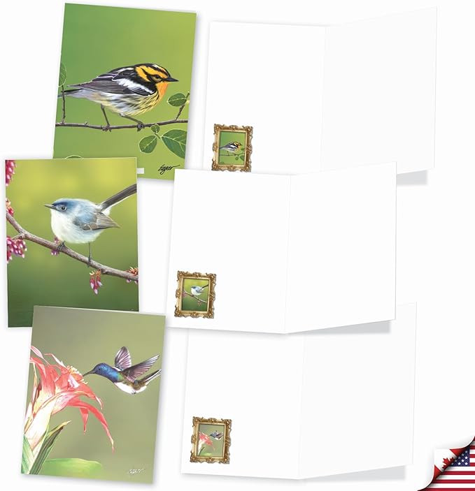 The Best Card Company - 20 Blank Notes with Envelopes - All Occasion Animal Assortment (10 Designs, 2 Each) - Bird Beauties AM9616OCB-B2x10