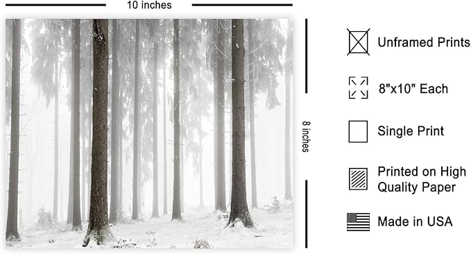 Monem Art Foggy Winter Forest Photography Print - Minimalist Snowy Landscape Poster - Wall Decor for Living Room, Bedroom or Office - 8x10 Unframed Wall Art by Mareike Bohmer