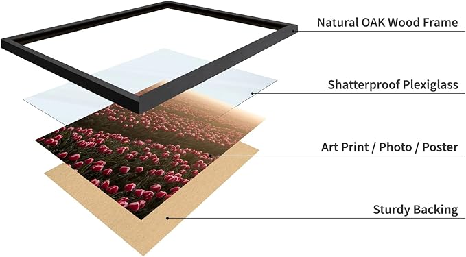 Monem Art Golden Tulip Field Sunset Photography Print - Romantic Spring Landscape Art Poster - Wall Decor for Living Room, Bedroom or Office - 12x16 Black Framed Wall Art by Mareike Bohmer