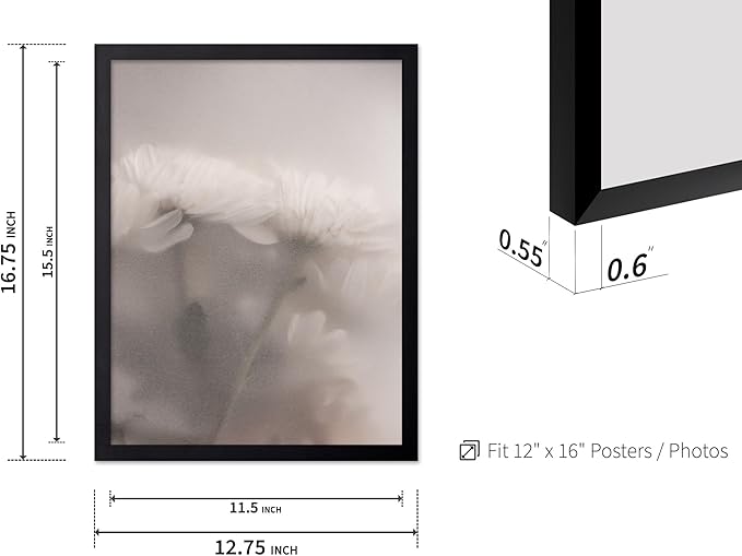 Monem Art Ethereal White Flower Print - Minimalist Botanical Photography Poster - Wall Decor for Living Room, Bedroom or Office - 12x16 Black Framed Wall Art by Mareike Bohmer