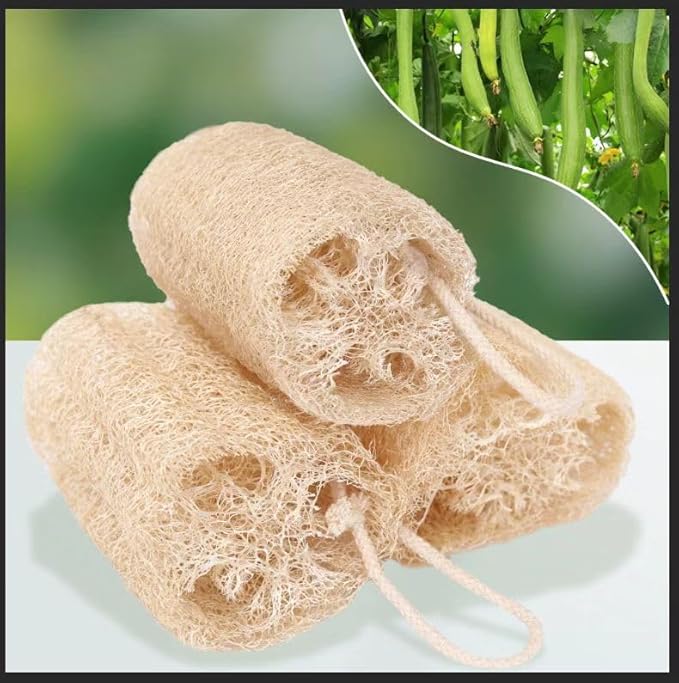 Natural Loofah Kitchen Sponge for Dishwashing 6 Inch 100% Plant Fibers Vegetable Fruit Scrubber Loofa,Natural Loofah Sponge Exfoliating Body Scrubber