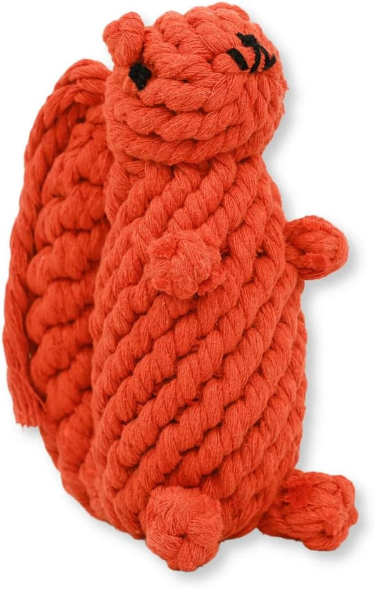 Bucky The Squirrel Dog Toy Handmade Eco Cotton Rope Squirrel Toy for Dogs - Natural, Non-Toxic Dyes, Dog Chew Toys for Small & Medium Breed Dogs, Cats (Large)