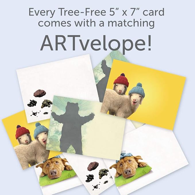 Tree-Free Greetings Funny Feel Better Soon Get Well Card Assortment, 5 x 7 Inches, 8 Cards and Envelopes per Set (GA31530)