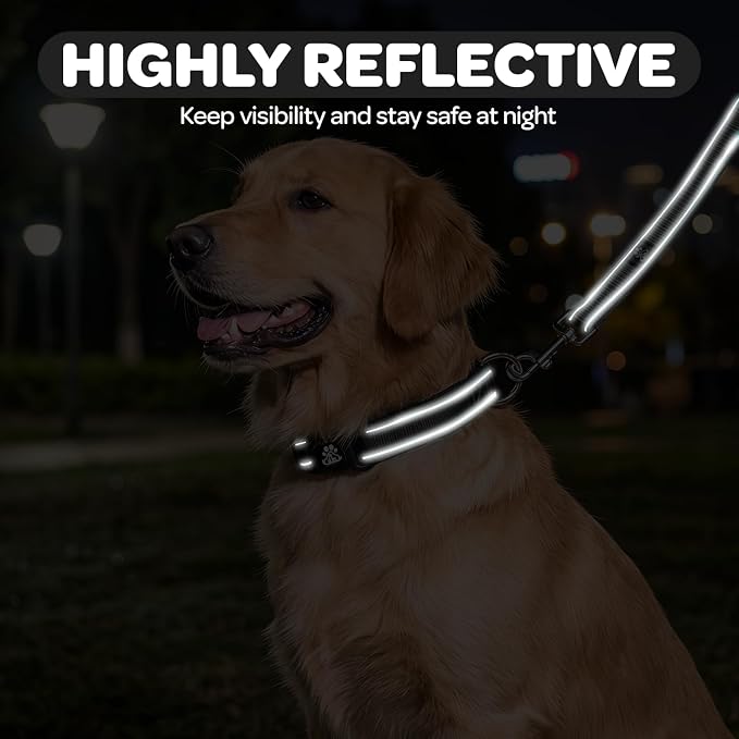 FURRYFECTION Reflective Dog Collar and Leash Set With Quick Release Buckle, Padded Neoprene Adjustable Nylon for Small Medium and Large Dogs (Medium Collar+5FT Leash, Black)