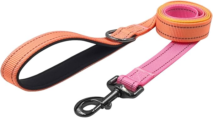 Dog Collar Leash Set, Gradient Color, with Safety Reflective Strips, 5 ft Matching Leash, Neoprene Padded Handle, Adjustable 4 Sizes for Small Medium Large Dogs.(XS, Orange Pink)