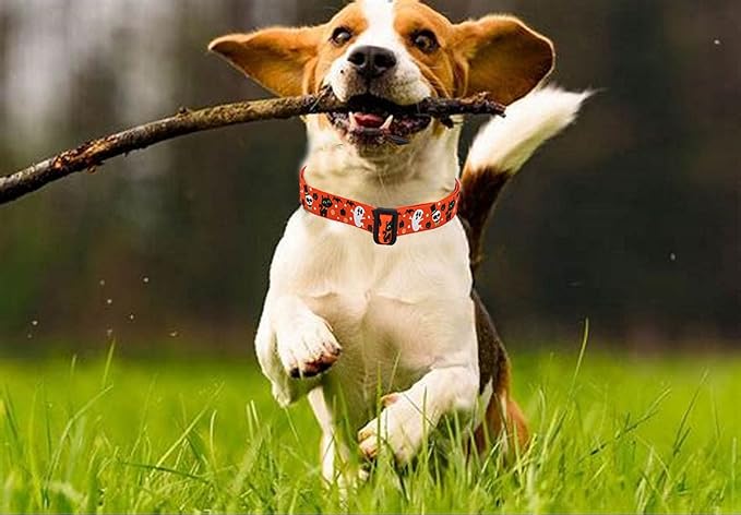 Mihqy Halloween Dog Collar - Pumpkin Bat Ghost Pattern - Adjustable for Small Medium Large Dogs(Halloween,L)