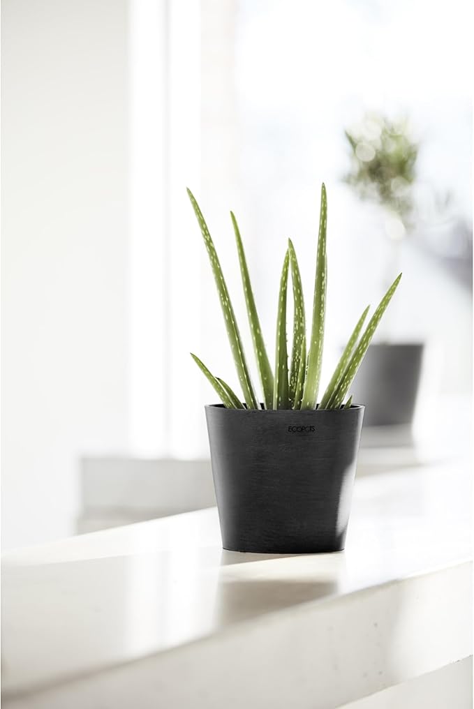 Ecopots Amsterdam Mini Durable Modern Round Recycled-Based Composite Flower Pot Planter, Dark Grey, 7"