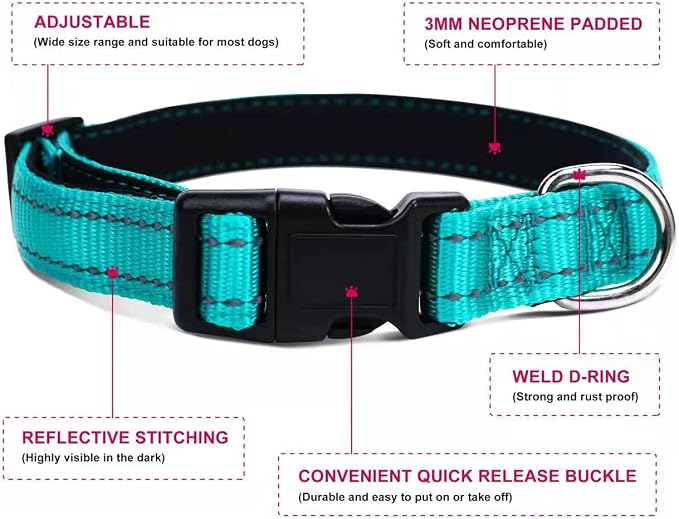 Soft Neoprene Padded Dog Collar and Leash Set for Small Medium Large Dogs, Reflective Durable Nylon Dog Collar with 5ft Leash Easy for Walking, Teal,Neck fit 12.5-19.5’’