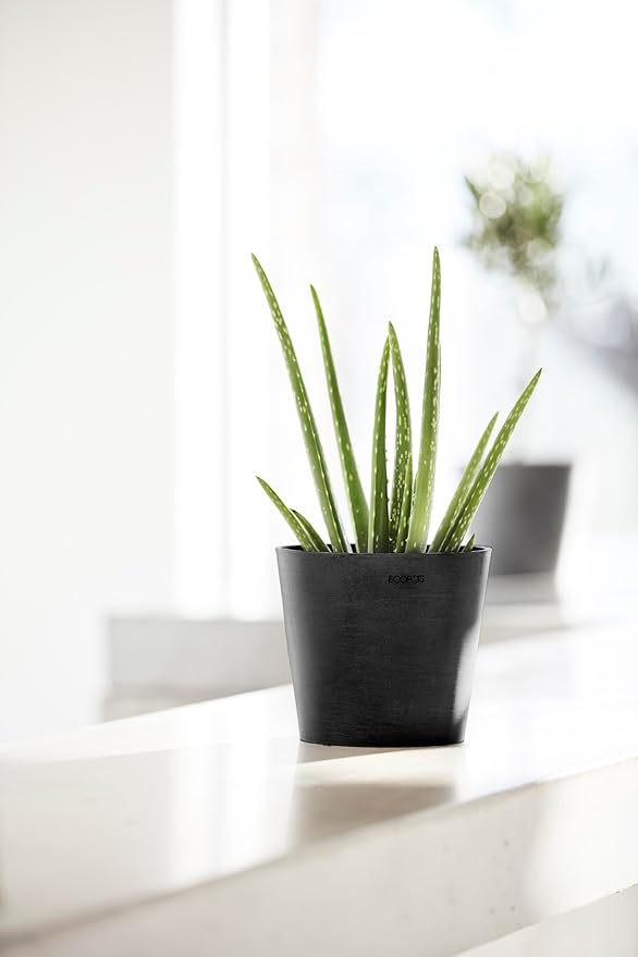 Ecopots Amsterdam Mini Durable Modern Round Recycled-Based Composite Flower Pot Planter, Dark Grey, 4"