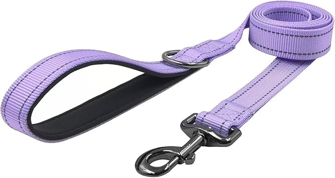 Dog Collar Leash Set,with Relfective Strips,Lilac Purple,Extra Small. | Adjustable Collar,5 ft Matching Leash,Neoprene Padded Handle.