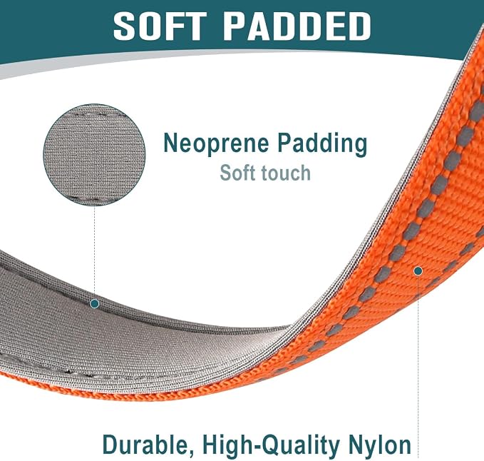 Dog Collar for Medium Small Large Dogs Reflective with Leash,Collar and Leash for Dogs,Soft Neoprene Padded 2 Pack(Orange,M)