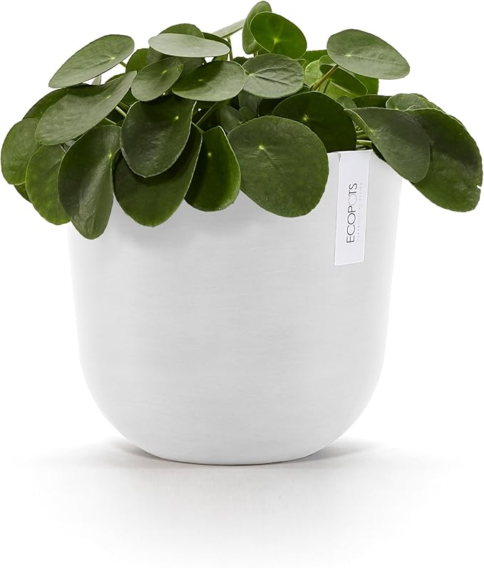 Ecopots Oslo Durable Modern Round Indoor/Outdoor Recycled-Based Composite Flower Pot Planter, Pure White, 10"