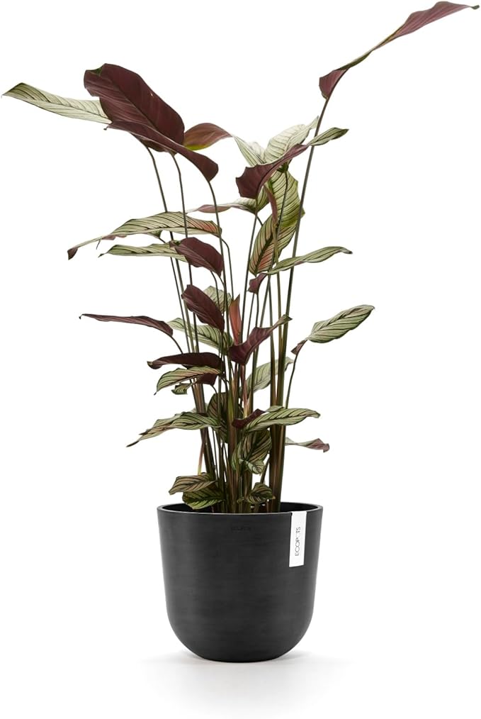 Ecopots Oslo Durable Modern Round Indoor/Outdoor Recycled-Based Composite Flower Pot Planter, Dark Grey, 10"