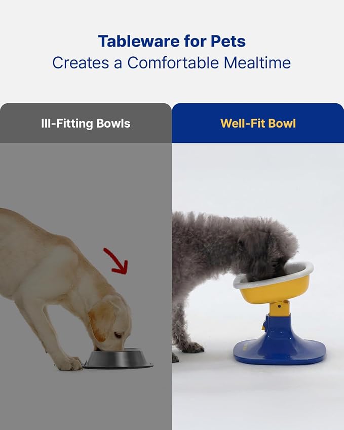 PETHROOM Well Fit Dog Bowl – Durable Ceramic Cat & Dog Food and Water Bowl, Non-Slip Silicone Base, Easy to Clean, 6.2 × 6.2 × 2.0 in, Pink