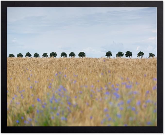 Monem Art Golden Meadow Horizon Landscape Print - Minimalist Nature Photography Poster - Wall Decor for Living Room, Bedroom or Office - 18x24 Unframed Wall Art by Mareike Bohmer