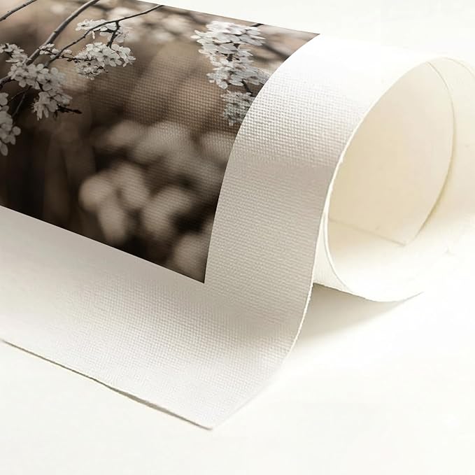 Monem Art Cherry Blossom Branch Photography Print - Moody Botanical Nature Art Poster - Wall Decor for Living Room, Bedroom or Office - 30x40 ROLLED CANVAS Wall Art by Mareike Bohmer