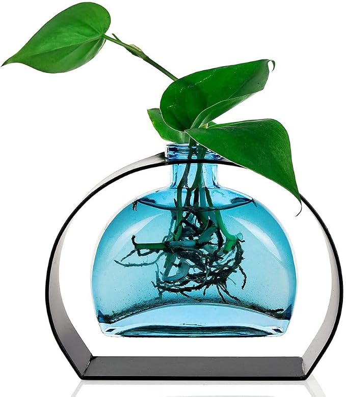 Couronne Co. Fiji Recycled Glass Flower Vase with Arched Metal Stand, Removable Vessel for Floral Arrangements, Decorative Table Centerpiece for Home, Kitchen, Coffee Table or Desk Decor, 6 oz