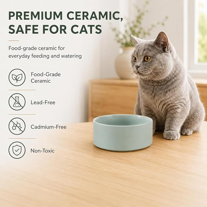 Havniva Cat Bowls Water Bowl Set of Two, 5.1” Ceramic Cat Food and Water Bowl Whisker Friendly Pet Food Bowls for Indoor Cats, Wide Cat Water Dish Prevent Whisker Fatigue Non Slip Cat Feeder