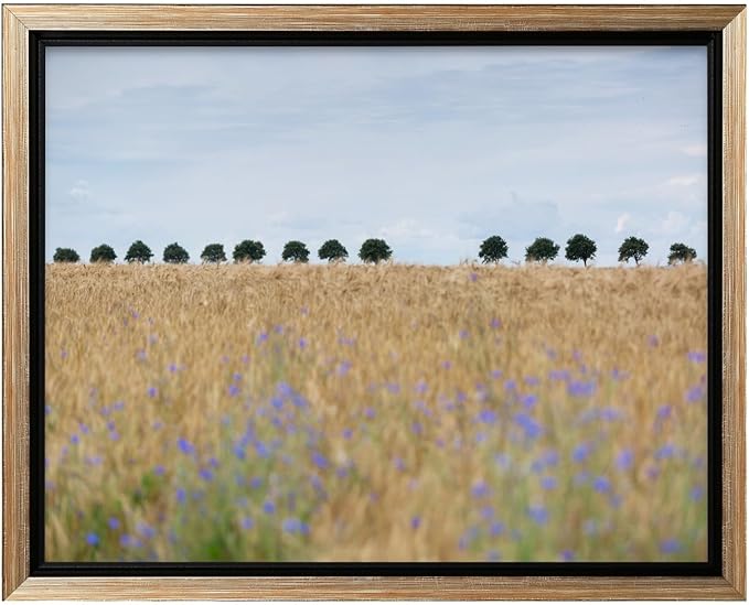Monem Art Golden Meadow Horizon Landscape Print - Minimalist Nature Photography Poster - Wall Decor for Living Room, Bedroom or Office - 18x24 Silver Framed CANVAS Wall Art by Mareike Bohmer