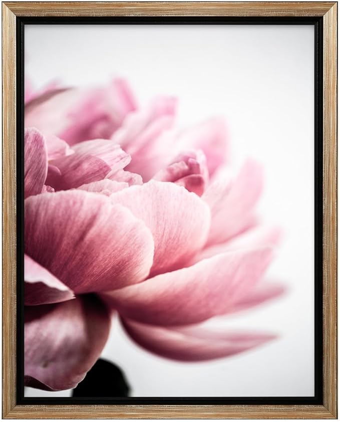 Monem Art Pink Peony Macro Photography Print - Minimalist Floral Art Poster - Wall Decor for Living Room, Bedroom or Office - 8x10 Silver Framed CANVAS Wall Art by Mareike Bohmer