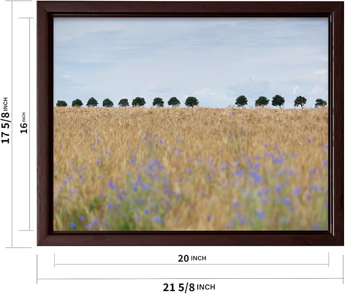 Monem Art Golden Meadow Horizon Landscape Print - Minimalist Nature Photography Poster - Wall Decor for Living Room, Bedroom or Office - 16x20 Brown Framed CANVAS Wall Art by Mareike Bohmer