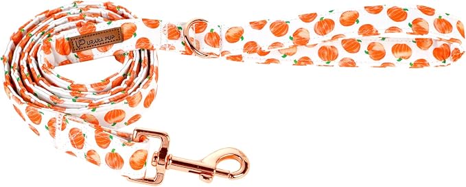 Dog Leash & Collar Set, Sturdy Durable Cotton, Halloween Pumpkin Pattern for Small to Large Dogs