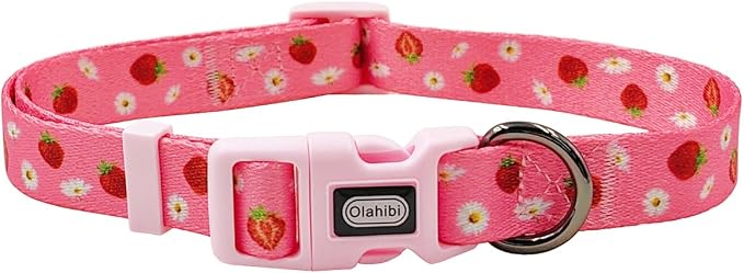 Dog Collar Leash Set, Floral Pattern, Polyester Material, Adjustable Collar and 5ft Matchcing Leash, for Medium Dogs.(M,Daisy and Strawberry)