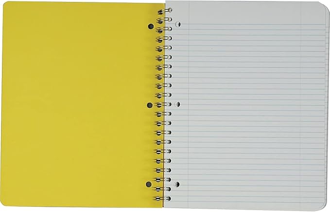 Earthwise by Oxford Recycled 5-Subject Notebook, 8-1/2" x 11", College Rule, 3-Hole Punched, 240 Sheets (25-159R)